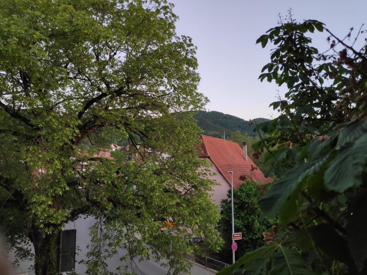 Ferienwohnungen Und Zimmer In Reutlingen-Goenningen Eksteriør bilde